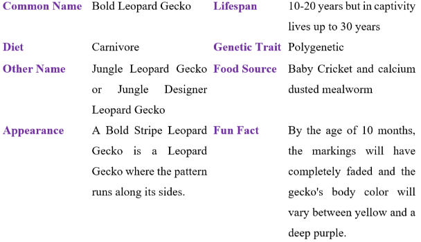 bold leopard gecko table