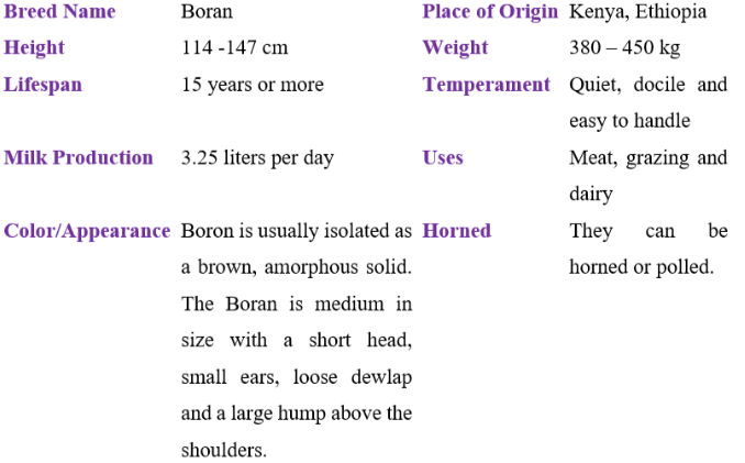 boran table