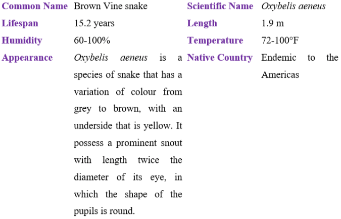brown vine snake table