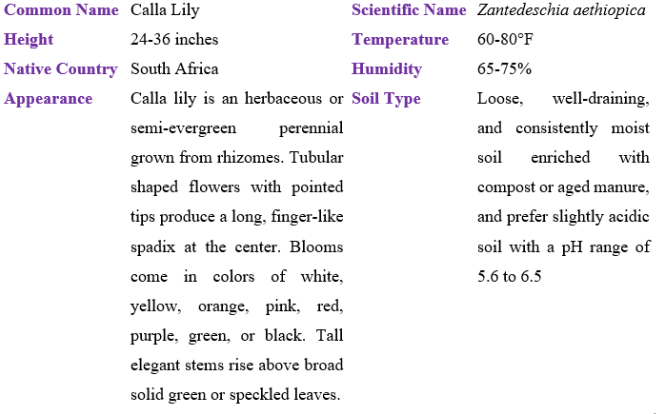 calla lily table
