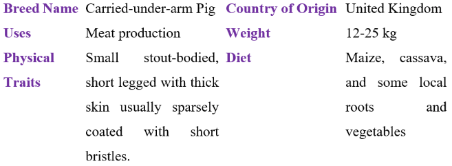 carried-under-arm pig table