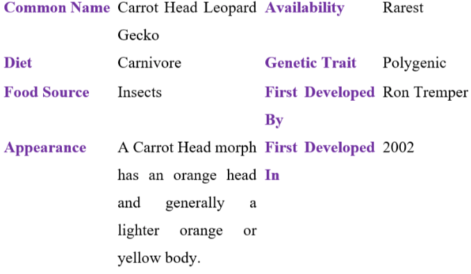 carrot head leopard gecko table