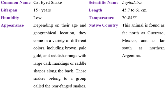 cat eyed snake table