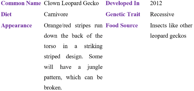 clown leopard gecko table