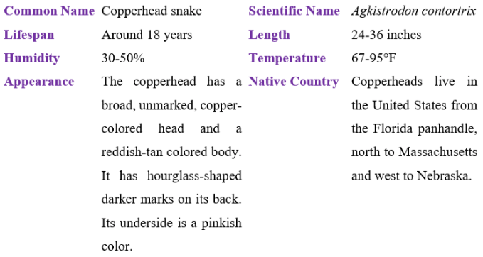 copperhead snake table
