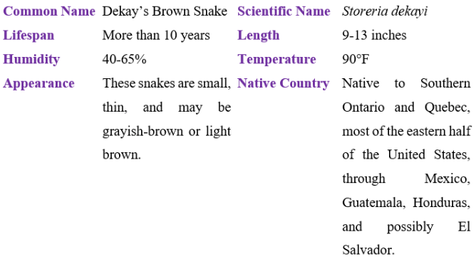 dekay's brown snake table
