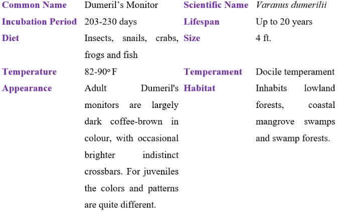 dumeril's monitor table