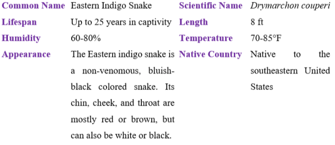 eastern indigo snake ta ble