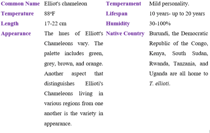 elliot's chameleon table