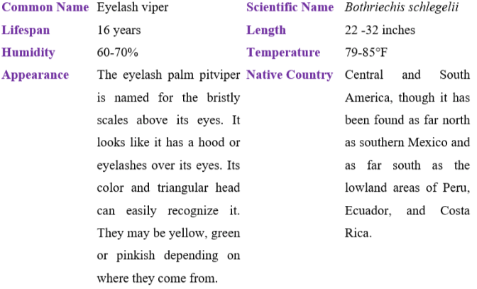 eyelash viper table