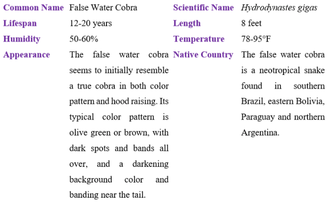 false water cobra snake table