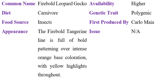 firebold leopard gecko table