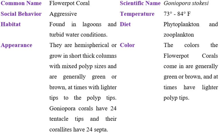 flowerpot coral table