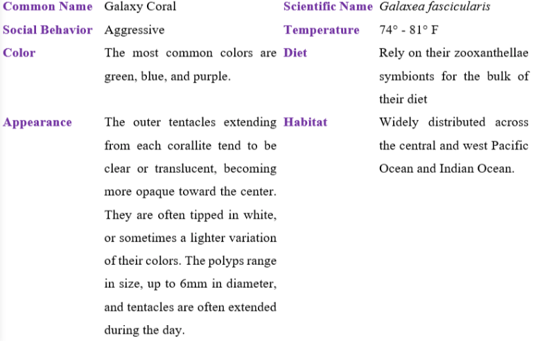 galaxy coral table