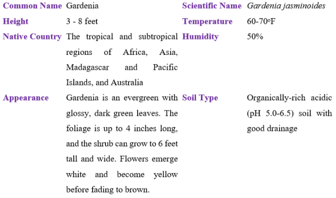 gardenia table