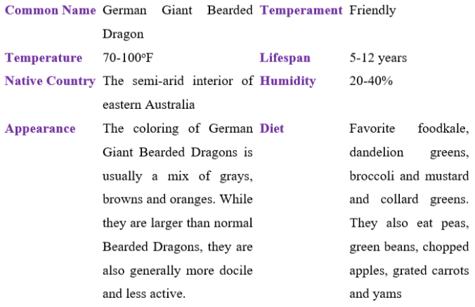 german giant bearded dragon table