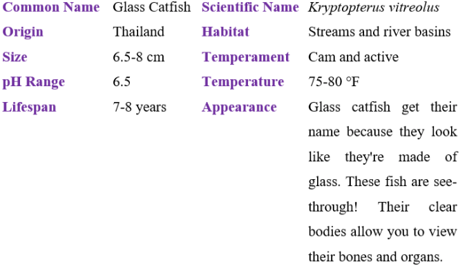 glass catfish table