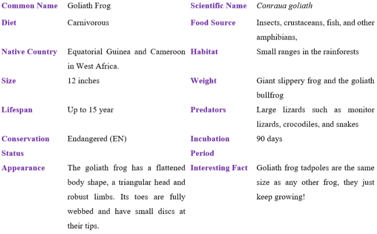 goliath-frog table