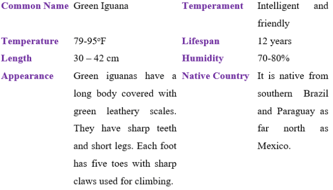green iguana table