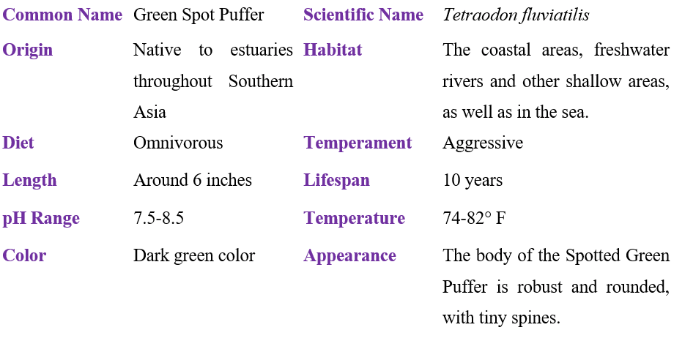 green spot puffer table