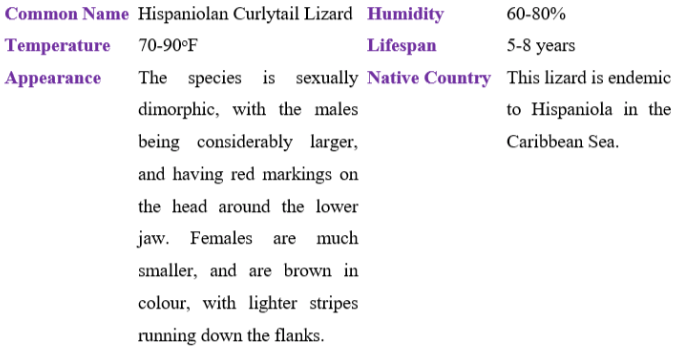 hispaniolan curlytail lizard table
