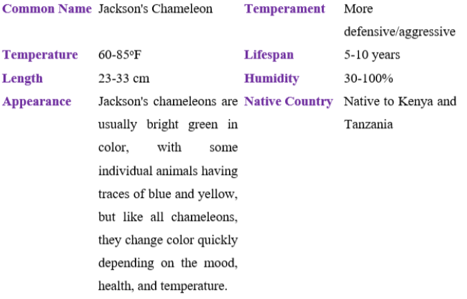 jackson's chameleon table