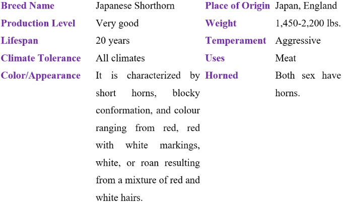 japanese shorthorn table