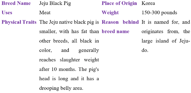 jeju black pig table