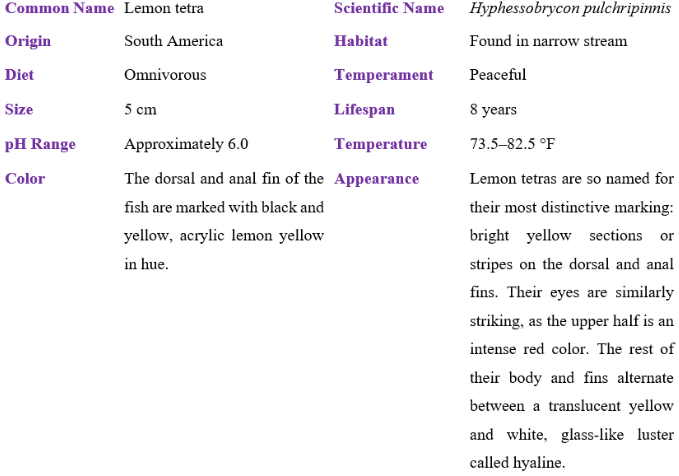 lemon tetra table