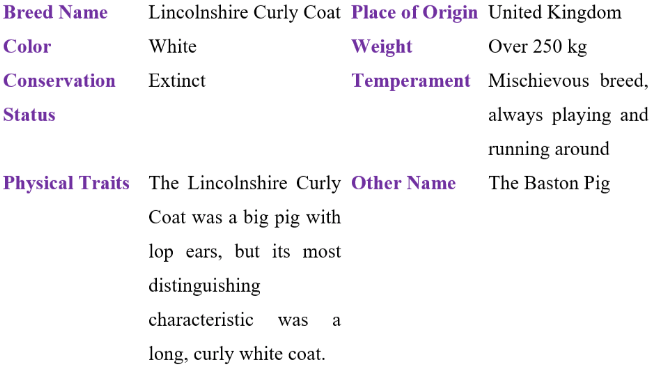 lincolnshire curly coat white table