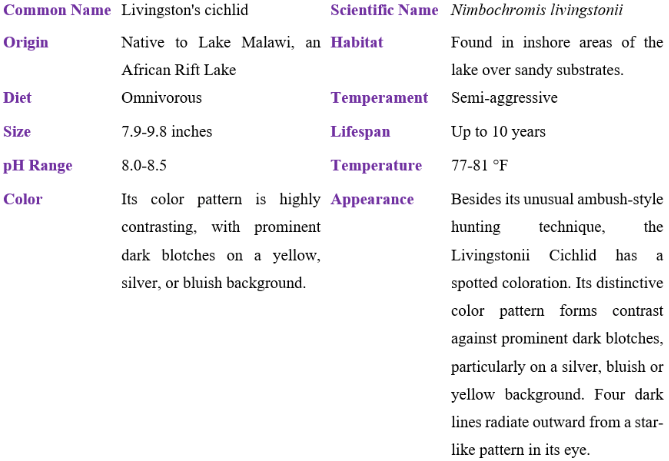 livingston's cichlid table