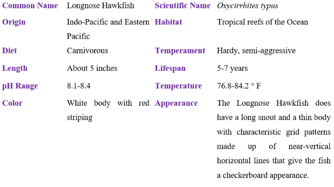 longnose hawkfish table