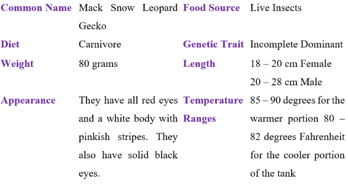 mack snow leaopard gecko table