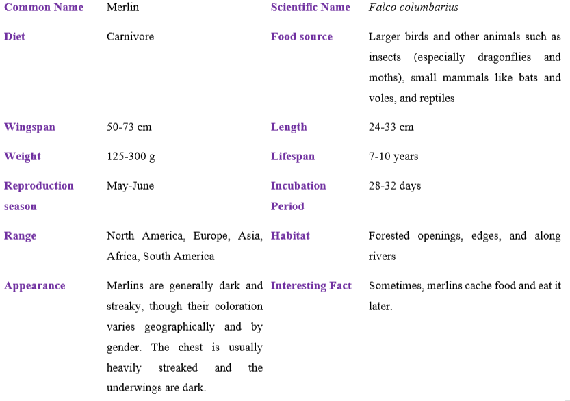 merlin table