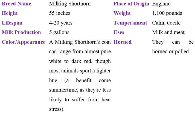 milking shorthorn table
