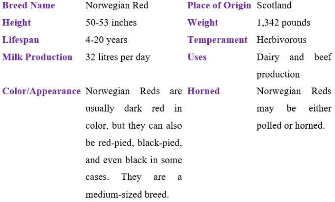 norwegian red table