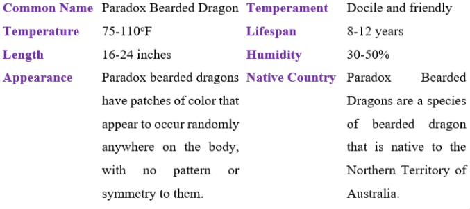 paradox bearded dragon table