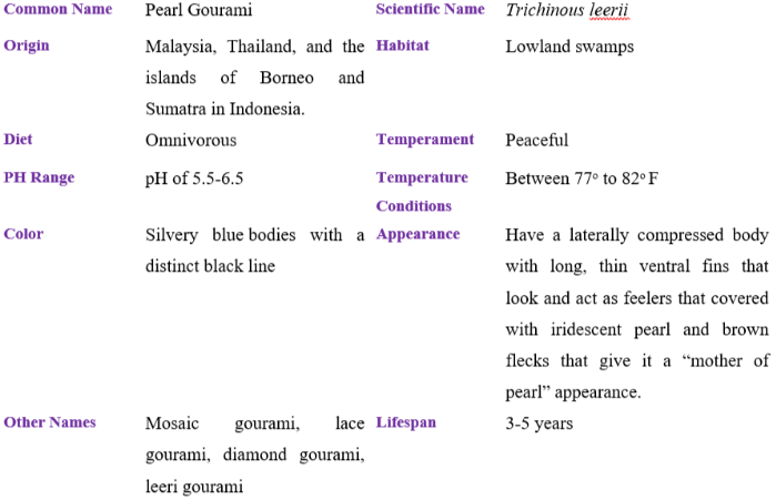 peral gourami table