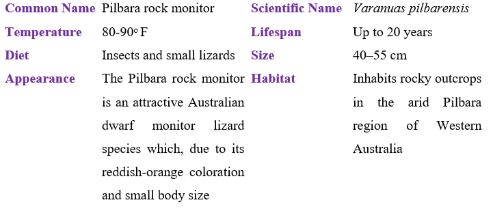 pilbara rock monitor table