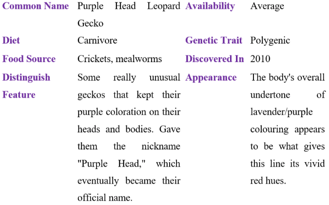 purple head leopard gecko table