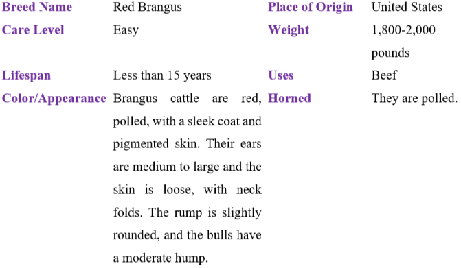 red brangus table