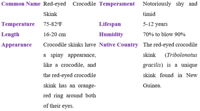 red-eyed crocodile skink table