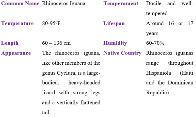 rhinoceros iguana table