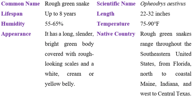 rough green snake table