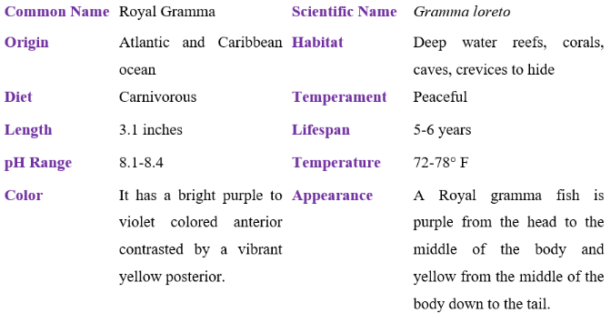 royal gramma table