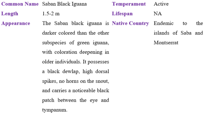 saban black iguana table