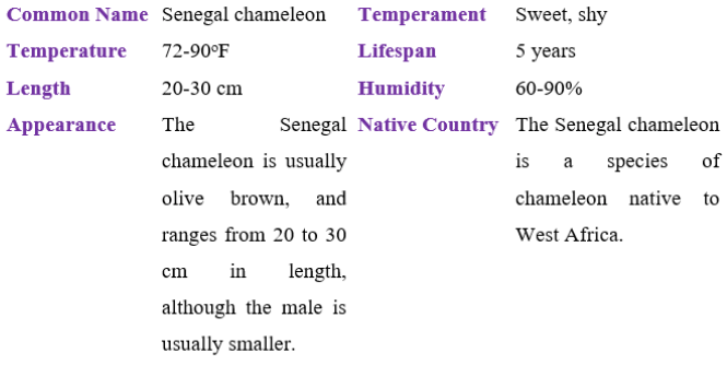 senegal chameleon table