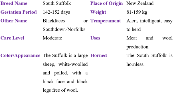south suffolk table