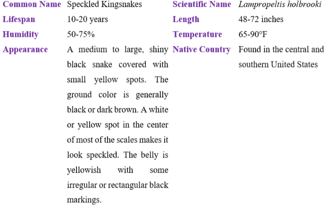 speckled kingsnake table