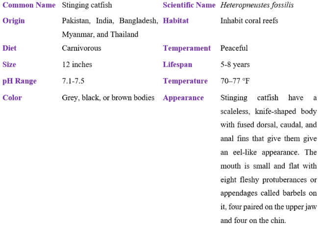 stinging catfish table